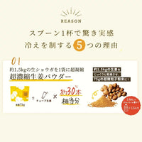 日本Craft Ginger 精華生薑粉75g