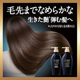 Shiseido TSUBAKI Premium EX 黑椿 強效修護系列